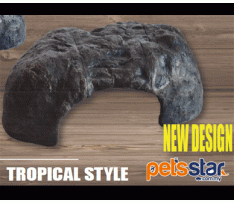 Get Your Pet Right Magic Forest Cave